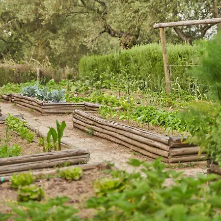 Poggio Piglia 키우시