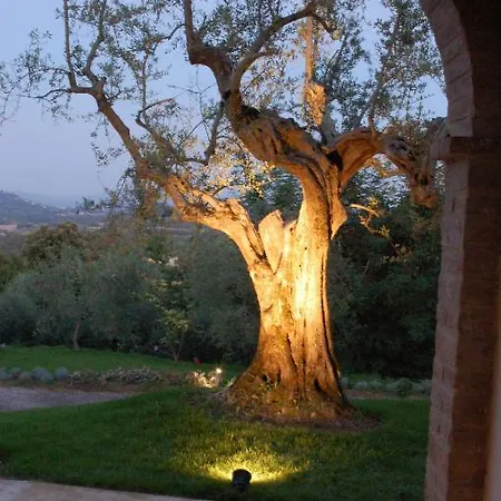 Poggio Piglia * تشيوسي